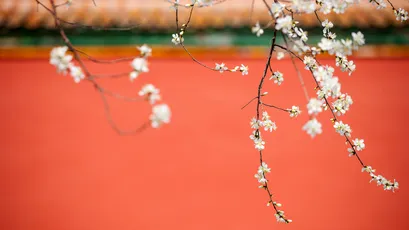 Photo by WPcoder