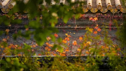 Photo by 壁纸迷