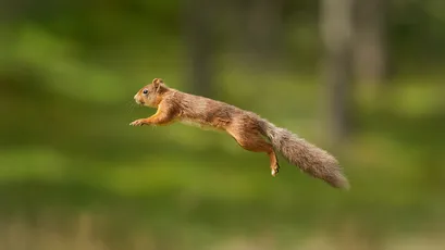 Photo by WPcoder