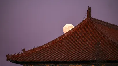 Photo by WPcoder