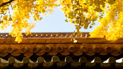 Photo by 壁纸迷