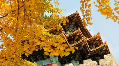 Photo by 壁纸迷