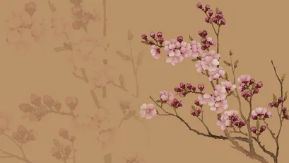 Photo by 壁纸迷