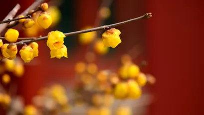 Photo by WPcoder