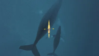 海中独行的皮划艇与鲸 海洋 自然 孤独 4K
