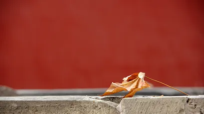 Photo by 壁纸迷