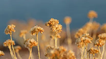 Photo by 壁纸迷