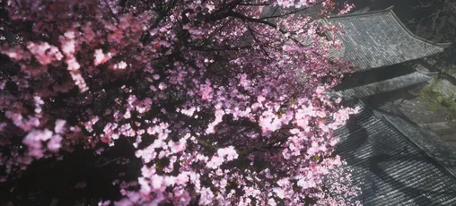 Photo by 壁纸迷