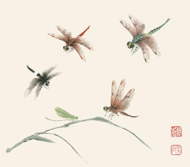 第三节栖枝之虫天牛蝉蜻蜓