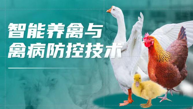 智能养禽与禽病防控技术