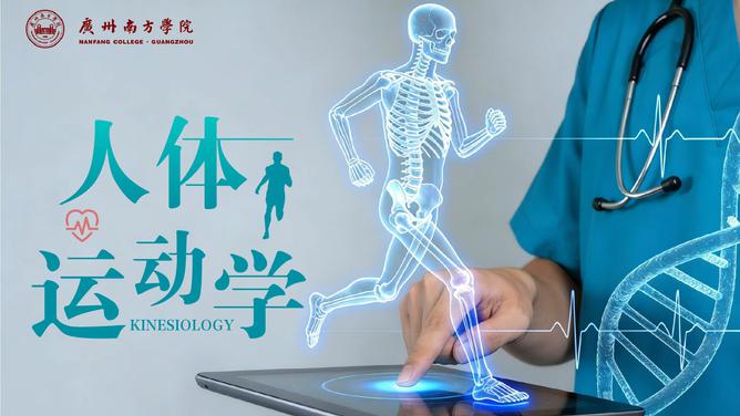 人体运动学