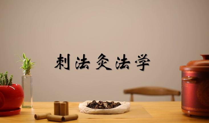 刺法灸法学
