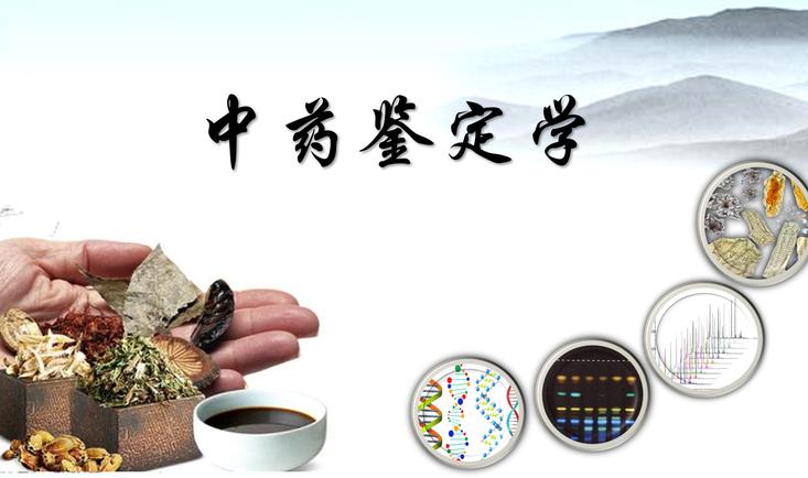 2021级中药鉴定学