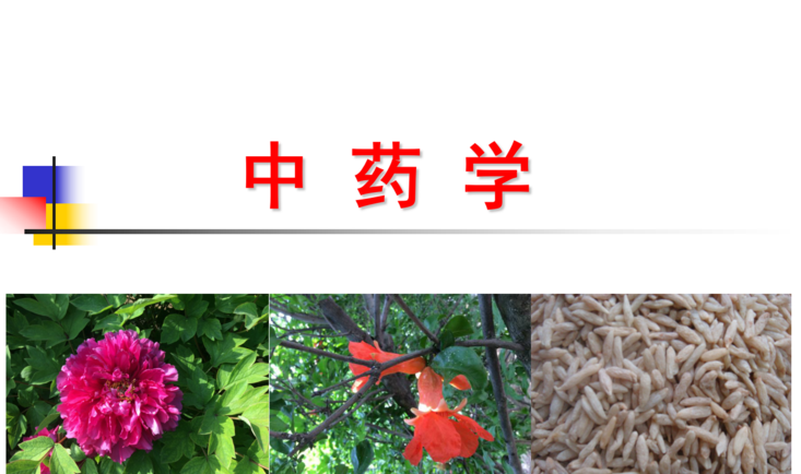 中药学