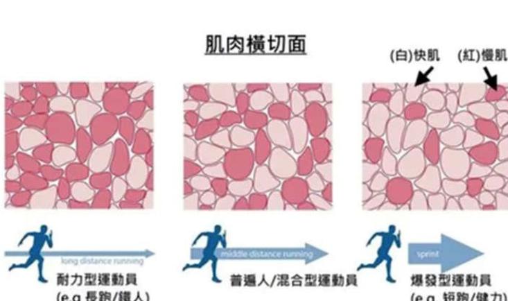 运动生理学