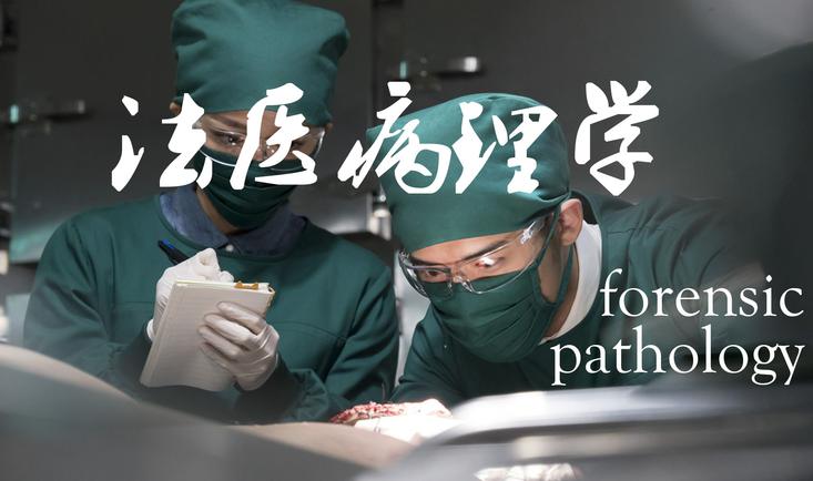 法医病理学