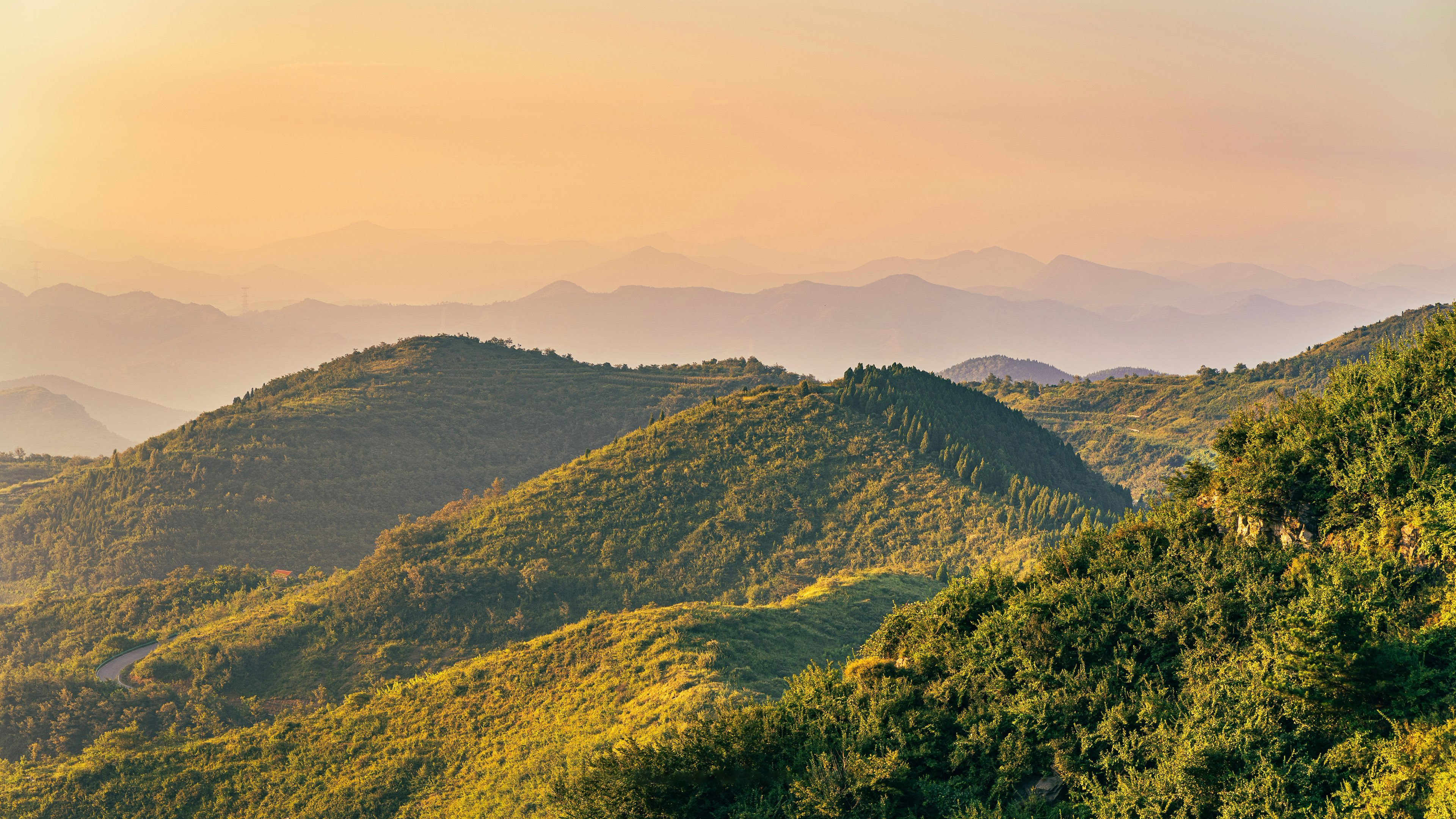 大山的宝藏