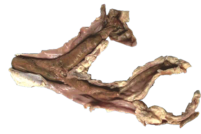 图片2副本(4).png