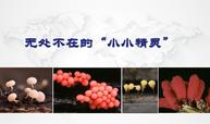 微生物学课程封面