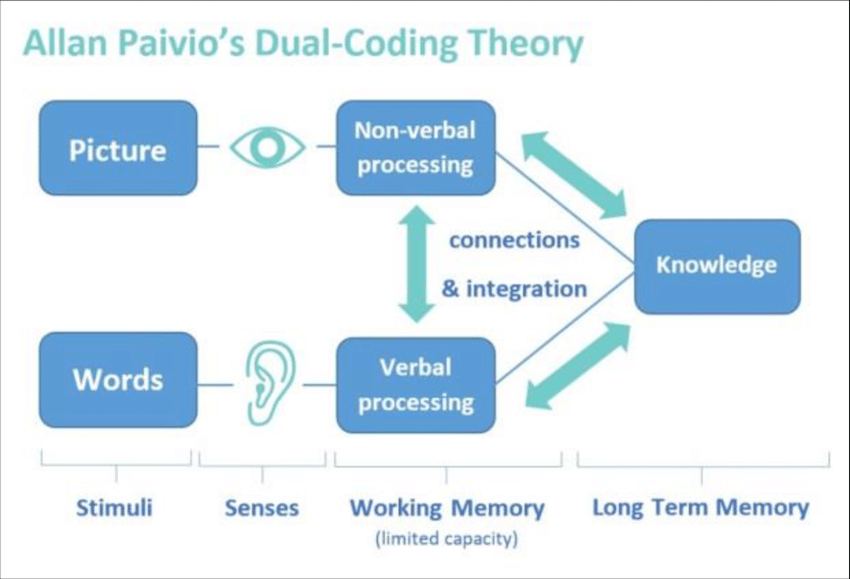 Dual-Coding-Theory-by-Allan-Paivio-1971-双重编码理论.png