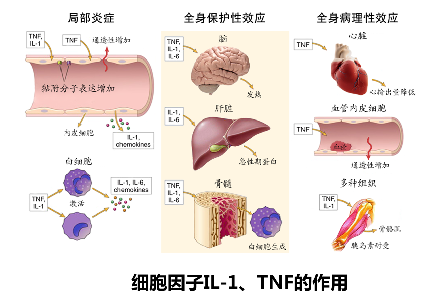 屏幕快照 2021-09-23 下午2.54.50.png
