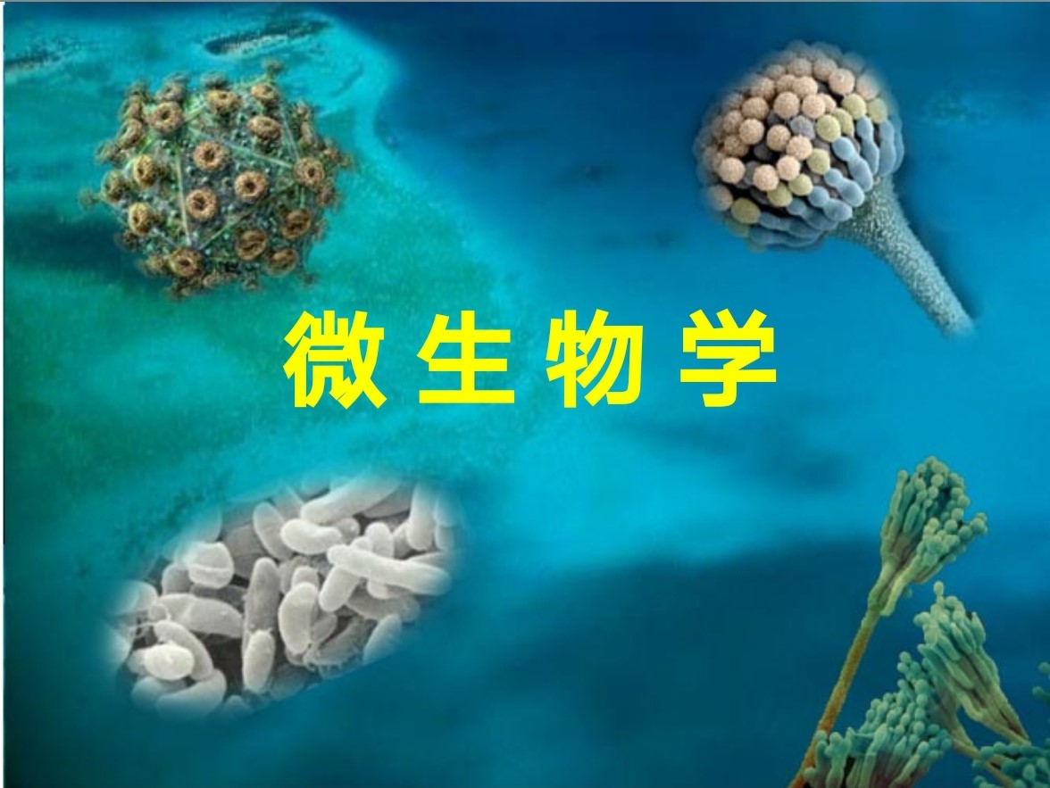 微生物学（慕课）课程封面