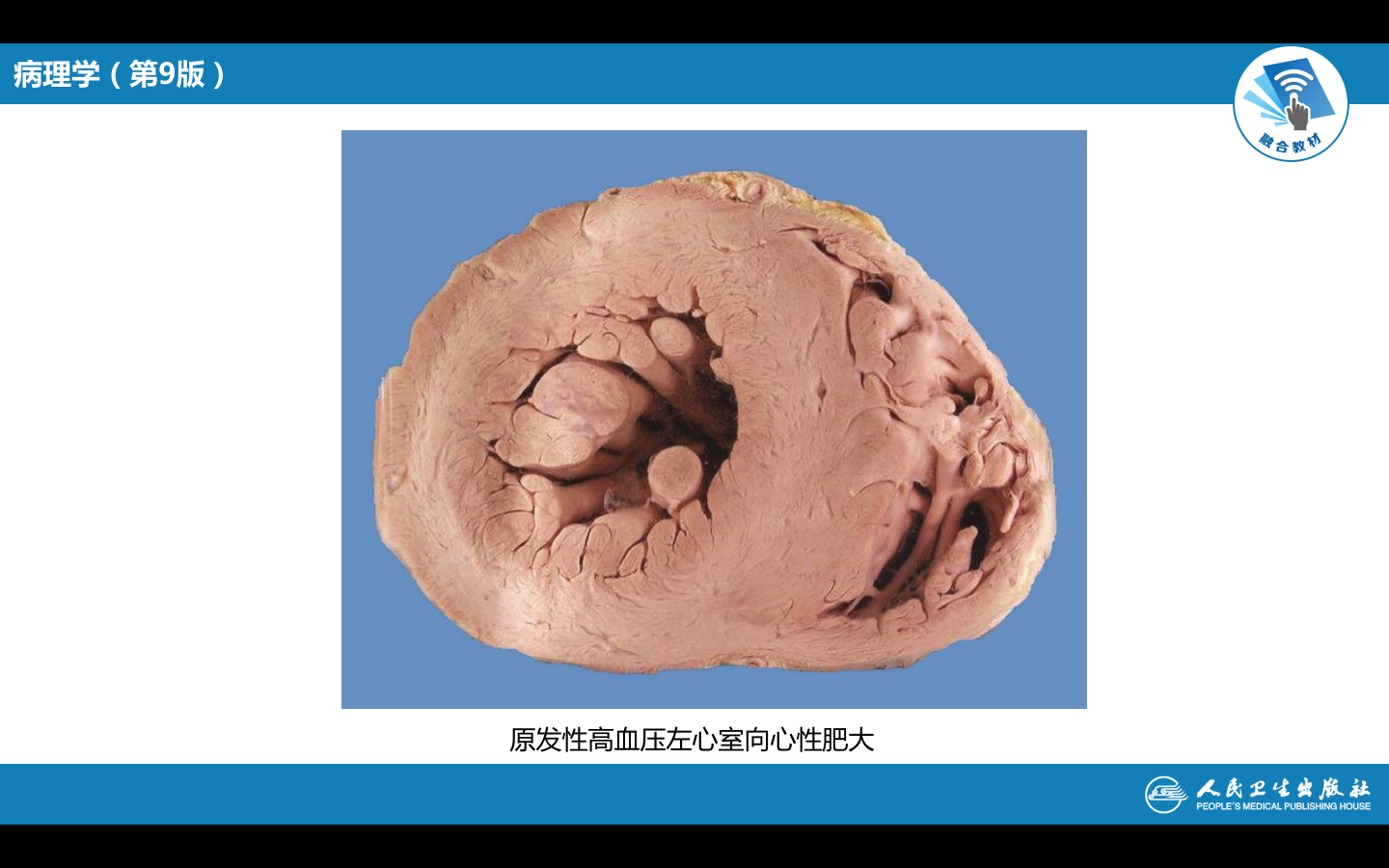 屏幕快照 2021-09-28 上午10.54.08.png