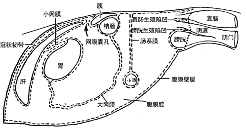 图片9.png