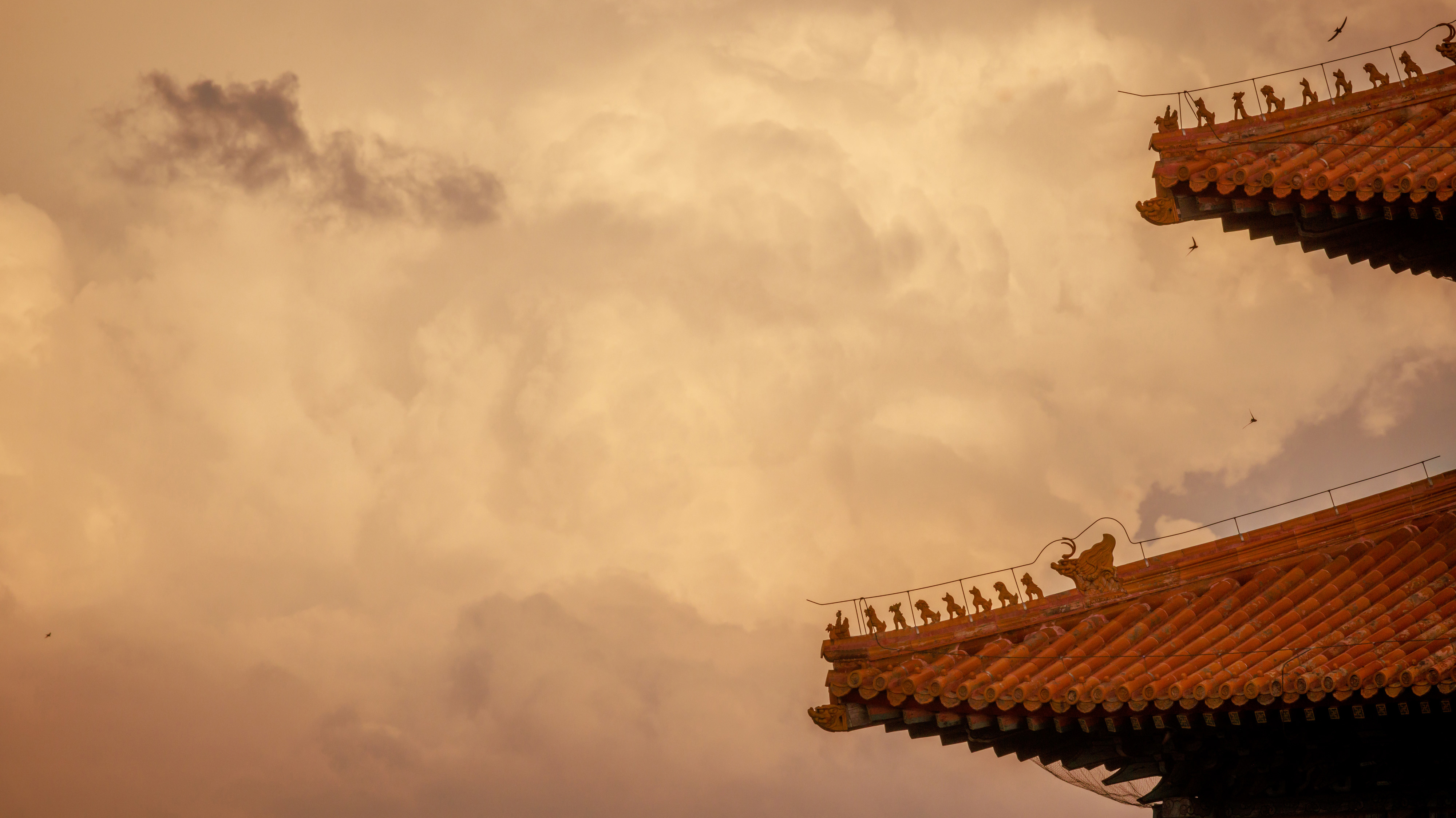爱上紫禁城
