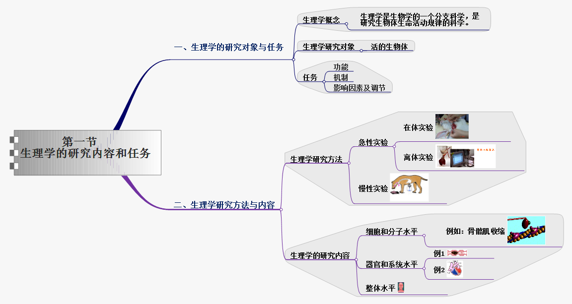 生理学研究内容和任务.png