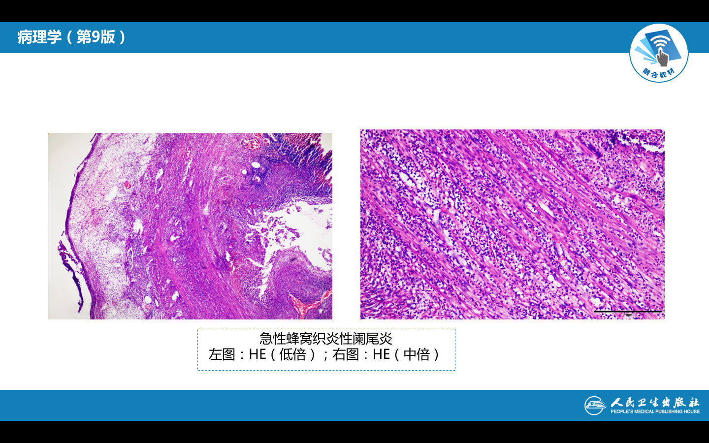 屏幕快照 2021-10-19 下午5.29.52.png