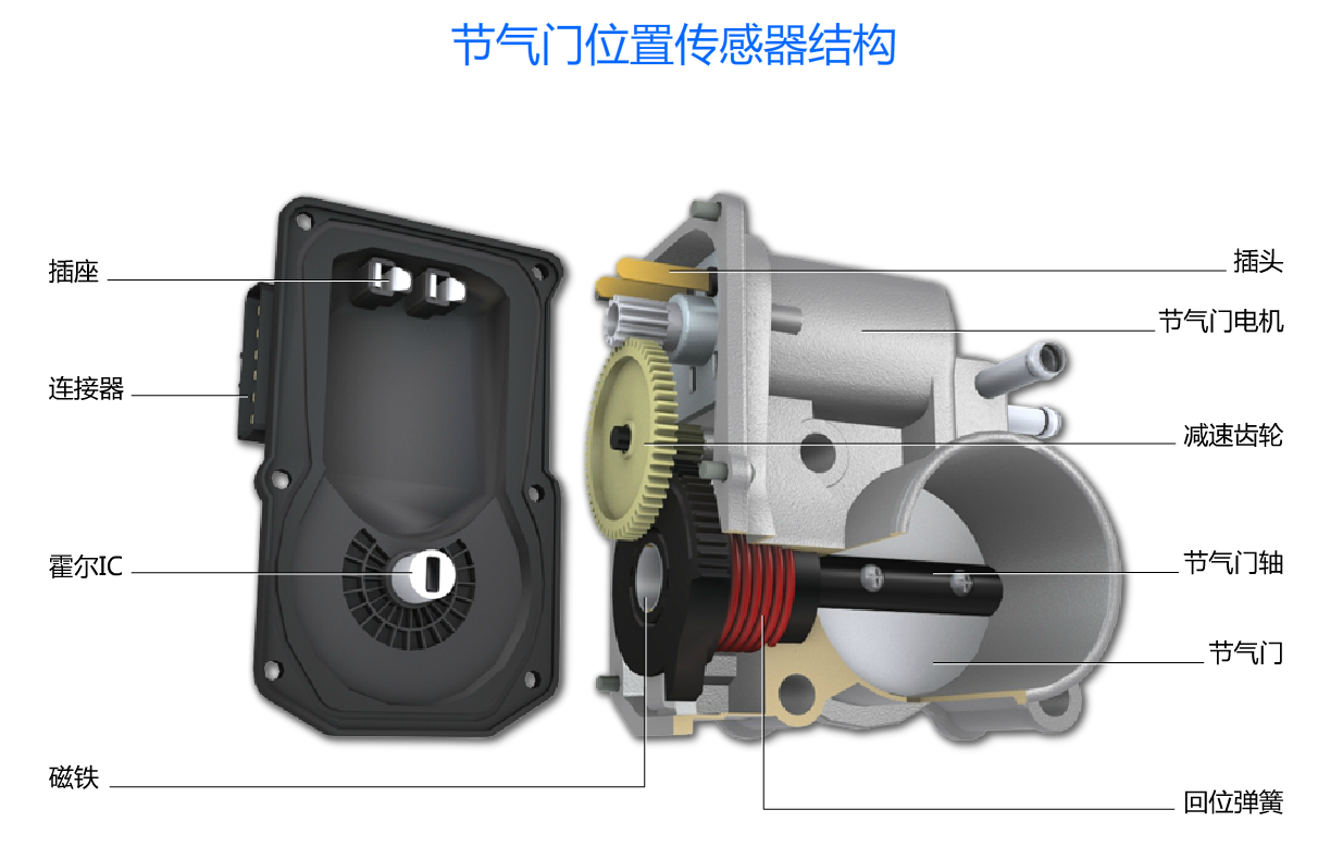 节气门位置传感器结构(1).png