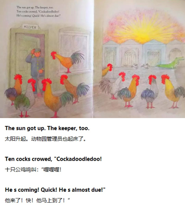 《One Night in the Zoo》动物园之夜08.jpg