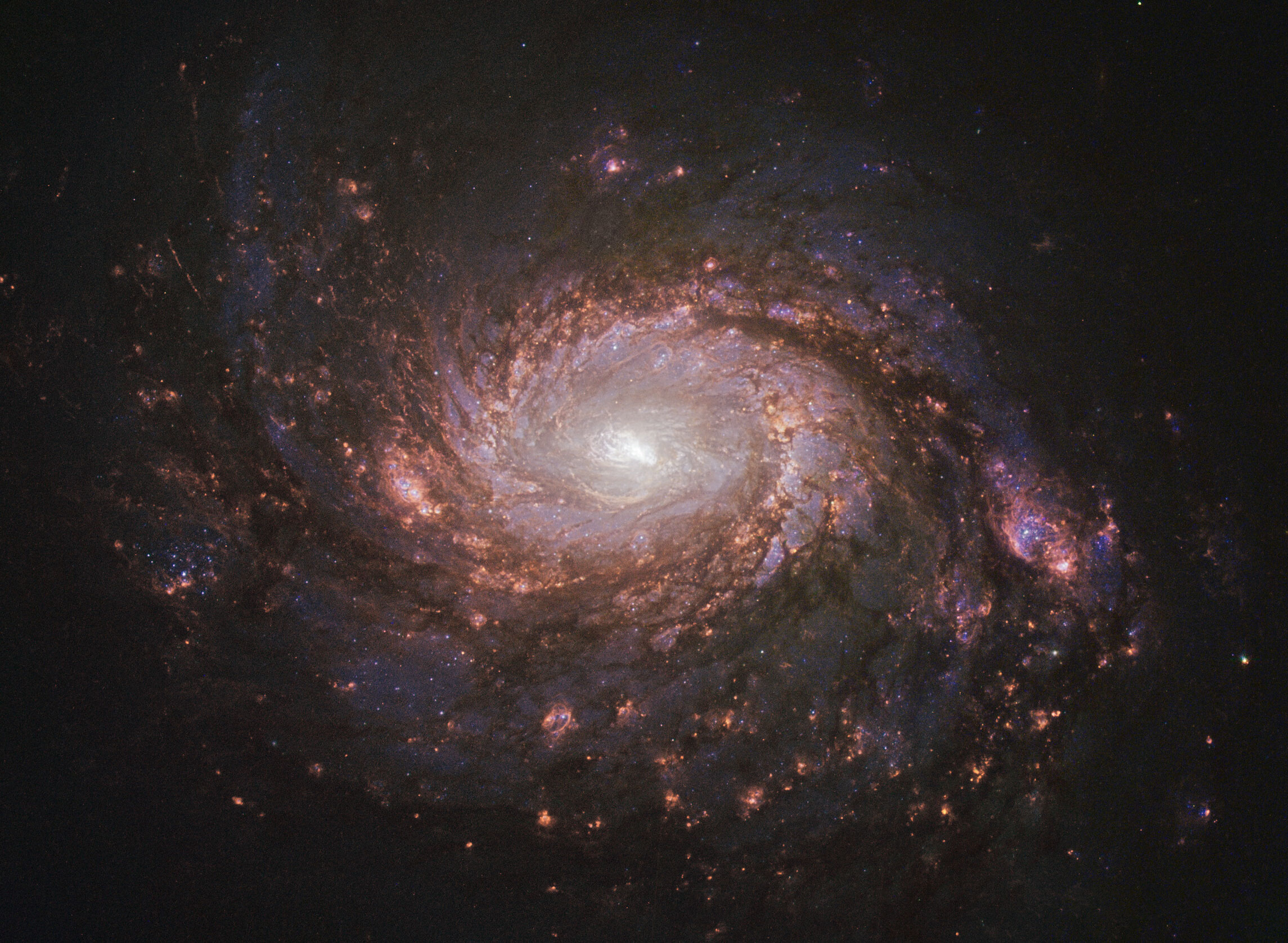 M77: Spiral Galaxy with an Active Center