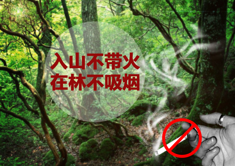 严禁吸烟效果.png