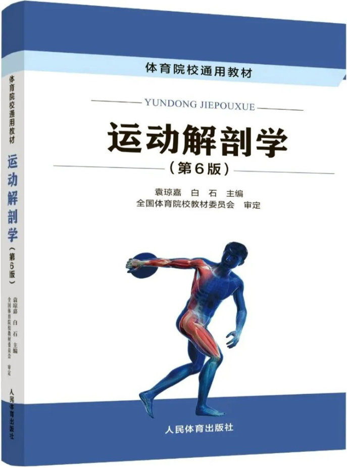 运动解剖学