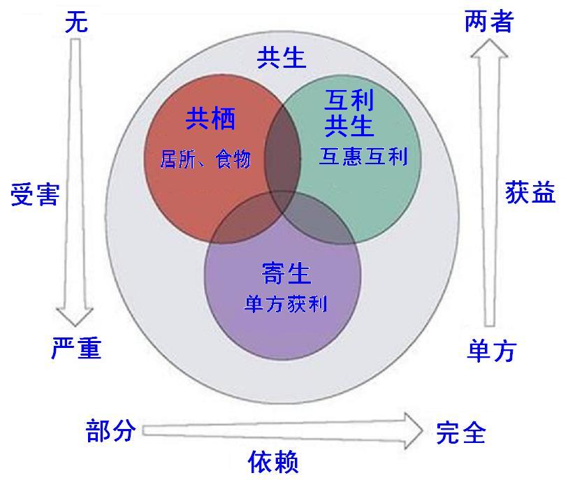 课程门户-章节详情