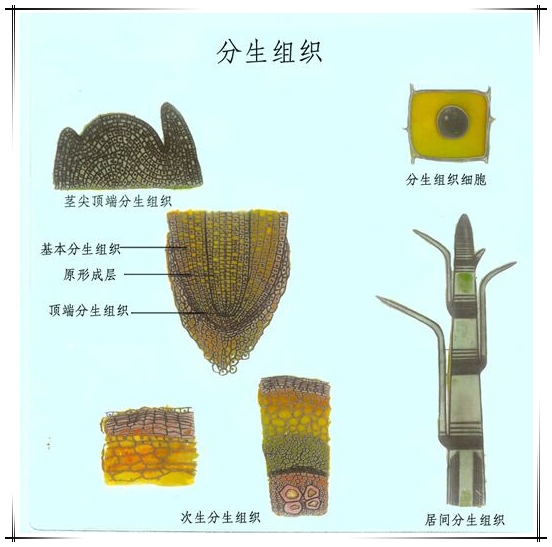 课程门户-章节详情