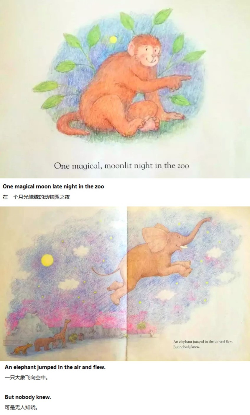 《One Night in the Zoo》动物园之夜01.jpg