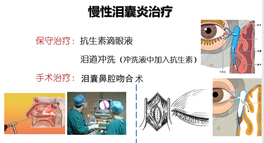 课程门户-章节详情