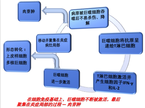 屏幕快照 2021-03-19 下午3.04.35.png