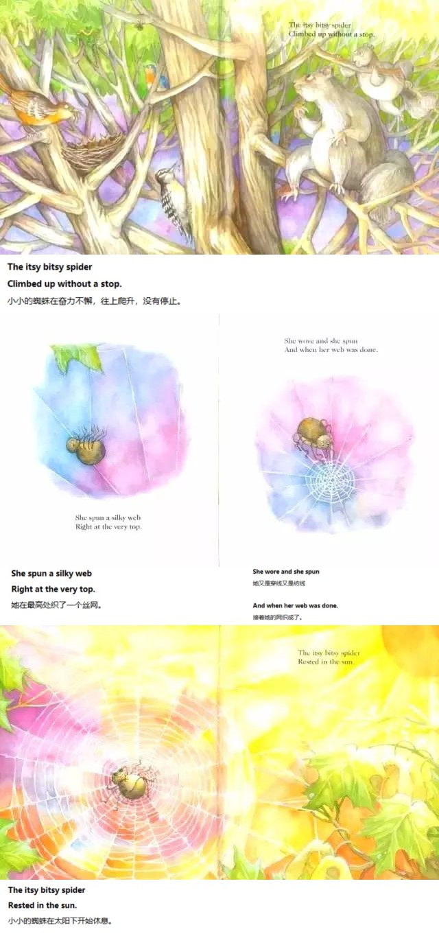 《The Itsy Bitsy Spider》可爱的小蜘蛛08.jpg