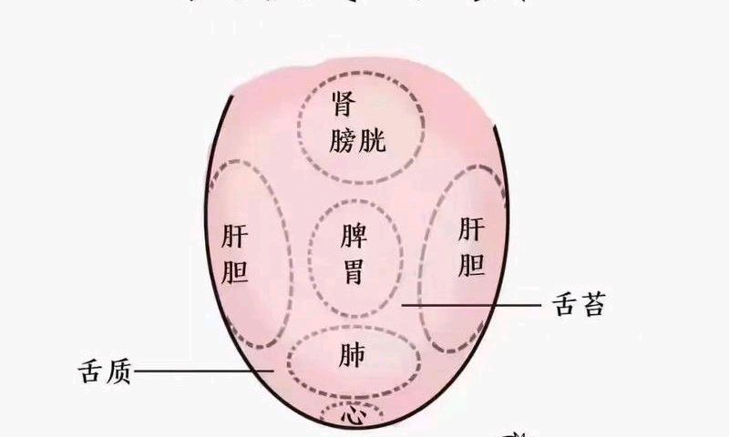 0524512 中医诊断学课程封面