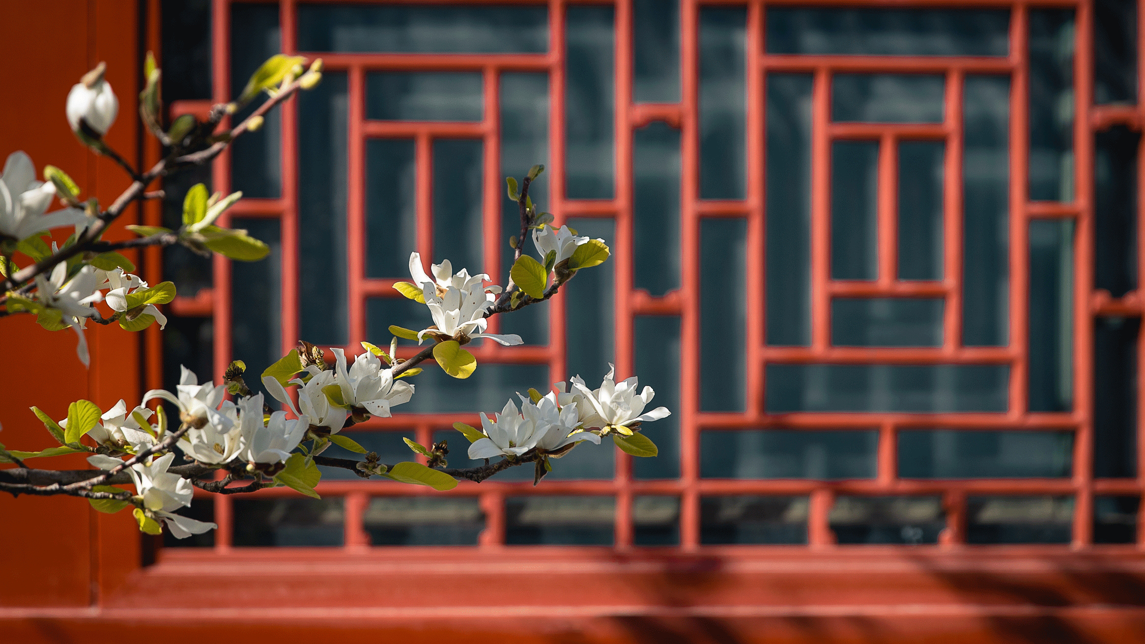 兆祥所