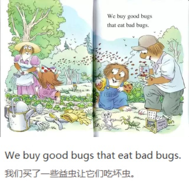 《A Green, Green Garden》绿油油的菜园11.jpg