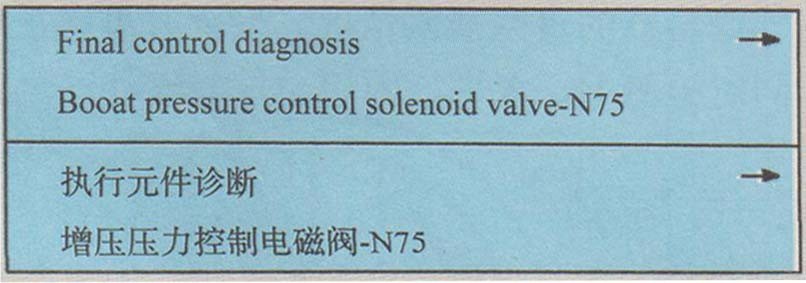 P7-检测增压控制电磁阀(N75)的显示内容.png