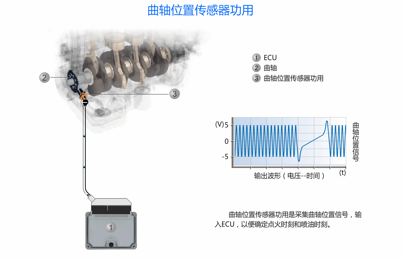 曲轴位置传感器功用.gif