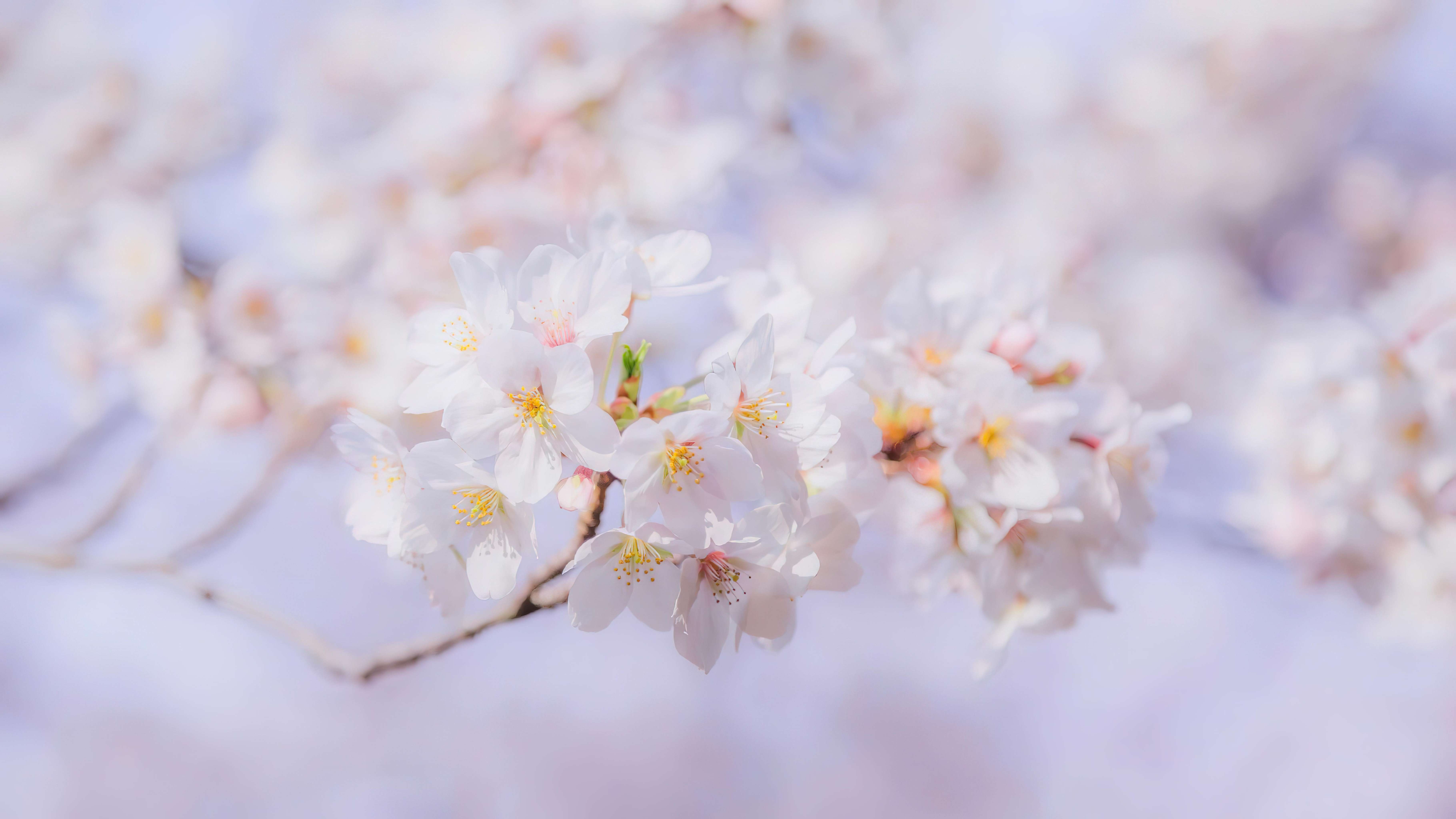 全尺寸高清壁纸 时尚 美化图 电脑桌面专用 #46954