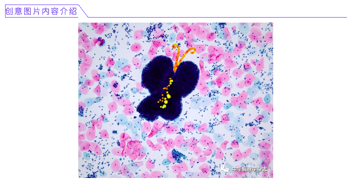 屏幕快照 2021-03-03 下午4.28.26.png