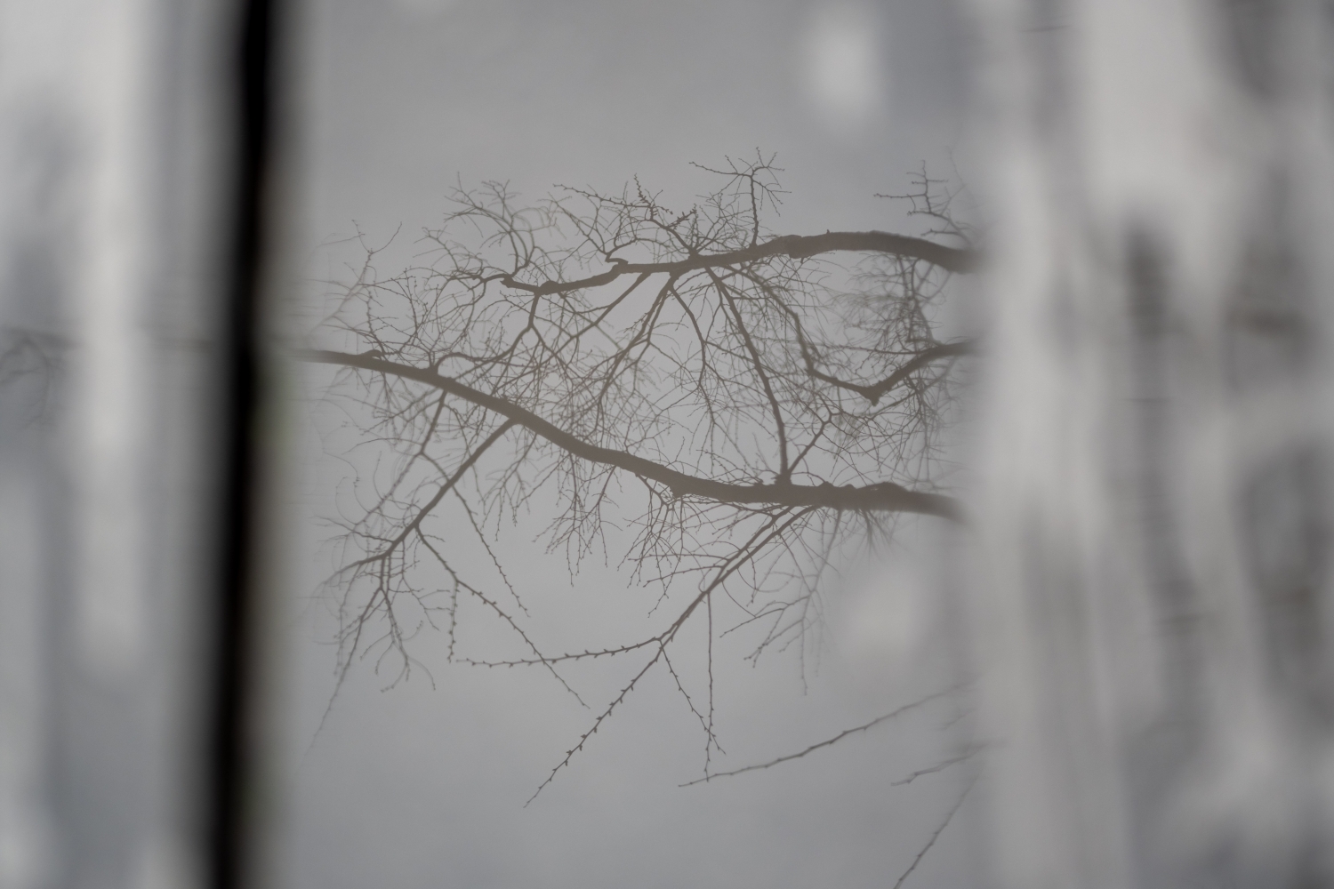 生活不是朝向或远离某个事物的运……
